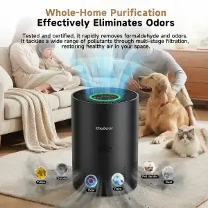 Chuboor PJ01 Air Purifier