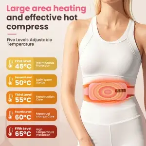 5 Modes Electric Heating Vibration Waist Massage Belt
